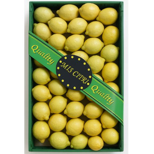 Diseño sin título - 2025-12-06T192736.657